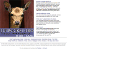 Desktop Screenshot of lubbockmetro.com